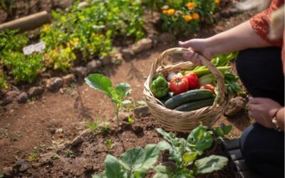 Le jardinage, une étude démontre que cette activité est idéale pour rester en bonne santé